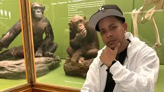 El museo de historia natural más famoso del mundo