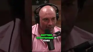THE SHOCKING TRUTH: Why A.I may find Humanity's exitance POINTLESS! 🤯| JRE 1169 PT:1