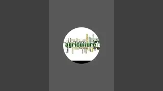 Ng agriculture updates  is live 🌞 good morning friends 🌻🌻💖💝