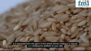 Wheat Germ Oil: A Game-Changer in Skincare & Nutrition &ndash; Market Insights