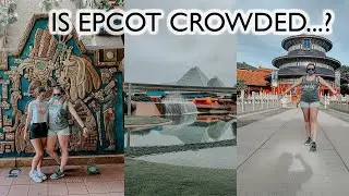 Disney World Vlog | A day at EPCOT and crowd level report!