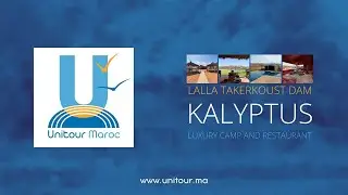 Kalyptus