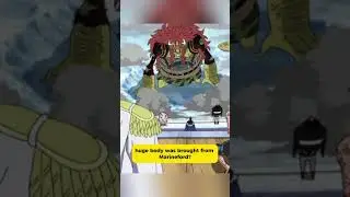 Как тело Литтл Весла-младшего переместили из Маринфорда? #OnePiece