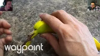 Hot Mic Mornings Ep 09: Austin and Patrick Learn How to Peel a Banana