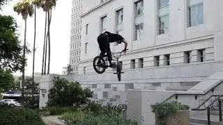 BMX - Sean Ricany Cult 2019