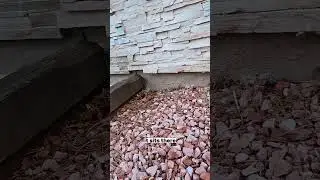 This is why water is seeping into your basement 💧🏠#basement #water