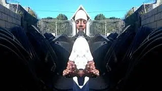 Intro-EXARO
