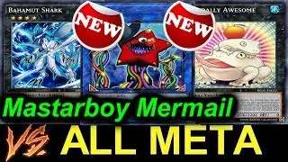 Mastarboy Mermail VS ALL META - Bahamut Shark Is back!!