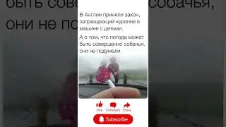ПОДПИШИСЬ❤️#humor #юмор #смех #мем #шутка #шуточное  #смешно #прикол #memes #comedy #funny #мемас