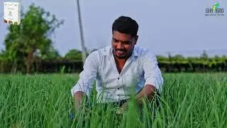 ProPaK - Onion Crop farmer