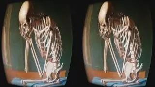 Let's Play Skelux IRL.