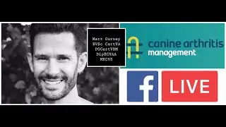 CAM LIVE:  Non-steroidal anti-inflammatories and grapiprant (galliprant) with Matt Gurney