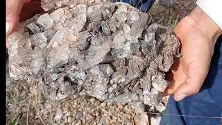 Aprenda os sinais  que irá produzir cristal de lodo Verde