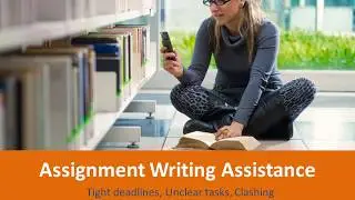 Online Assignment Writing Help by Top Writers