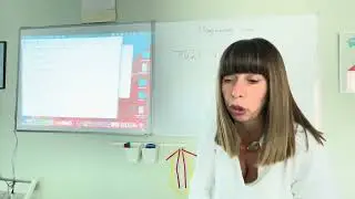 Рационални числа