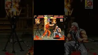 ART OF FIGHTING - RYO SAKAZAKI VS MR. KARATE