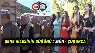 Şene Ailesinin Renkli düğününden (Kına Günü) -ÇUKURCA