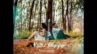 EDM GOMES - Kalliz Mhojem | Anzo Remix | Goan love song 2k18