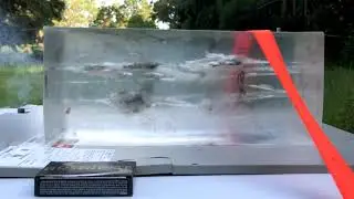 .223 Remington Clear Ballistics Gel Test: 75gr Speer Gold Dot (24475)