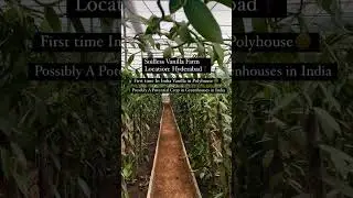 I want to start Vanilla Farming