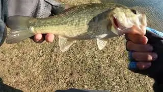 Winter Fire Bite! #bassfishing #fishingfreak #bassfreak