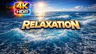 Swiss Forest 4K &ndash; Relaxing Mountain Forest Scenery  Calm Nature  90 Minutes