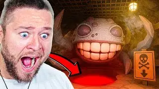 Ich habe ein SECRET Doors Level GEFUNDEN 😱