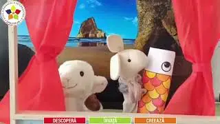 Koinobori, traditie japoneza de ziua copilului Kodomo no hi Children's Day