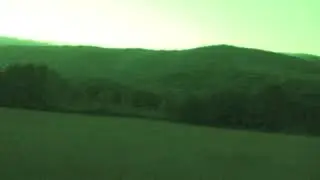 Loba con lobeznos Serra do Faro 23 de Xullo 2018