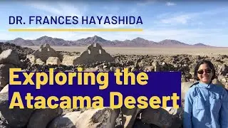 UNM professor explores ancient agriculture and ritual practices in Chile&rsquo;s Atacama Desert