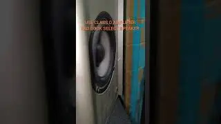 Sony 4 inch subwoofer sound test#viralvideo #bass #repairing #model #class d amplifier