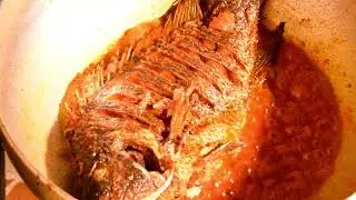 THE UNFORGETTABLE FISH FEAST AT THE BEACH KITCHEN FOODS HOTEL, DUNGA