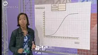 Maths 4 Real - Cumulative Frequency