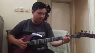 Parker Bass PB51 TR Cheap Demo
