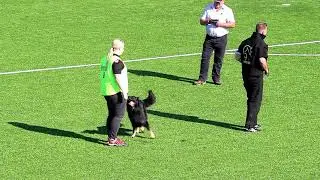 NIAK 2017 Tessa Ringelberg SHADOW VAN HAMERSSLAG Protection 81P