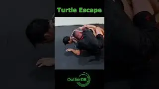 Jozef Chen Turtle Escape