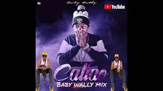 Baby Wally/- The Mix 2025☆DJ-GULE 0204 Limuna☆