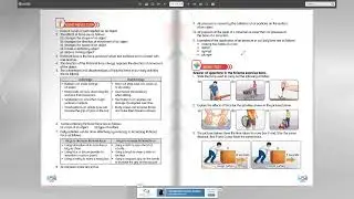Review of Unit 6 Year 6