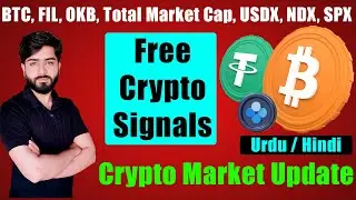 OKB FIL BTC Update | Crypto Market Update Today | Free Crypto Signals | Crypto 1.0