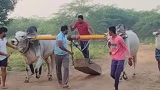 కుందుర్ రాంభూపాల్ రెడ్డి సారధ్యంలో. 2 బేటా వీడియో న్యూ క్యాటగిరి కోడలు గో నా నరసింహారెడ్డి 