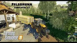 Buying sheep, sowing oat & barley, harvesting soybeans | Felsbrunn | FS19 Multiplayer | Timelapse #3