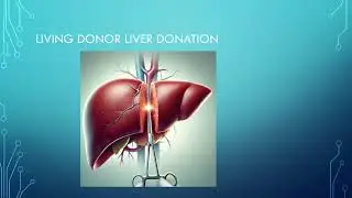 OMG! More Than 20 Liver Diseases Affect Children & Adults! 