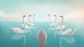The Scaredy Swan