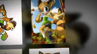 marine the racoon up and away