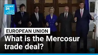 What is the Mercosur trade deal that is causing farmers' anger? &bull; FRANCE 24 English