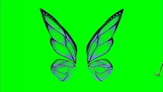 GREEN SCREEN VIDEO OF BUTTER FLY WINGS effects