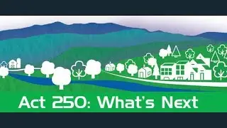 Business Perspectives: A250's Future