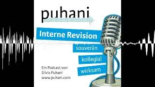 #408: Zeitdruck und die Interne Revision - Interne Revision &ndash; souver&auml;n, kollegial und wirksam