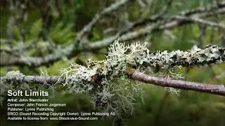 Soft Limits - John Starcluster | Ambient | Background Music Royalty Free Music | Shockwave-Sound