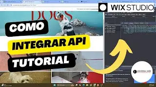 Integrando API en Wix: Gu&iacute;a Paso a Paso Usando Fetch Y M&eacute;todo Get